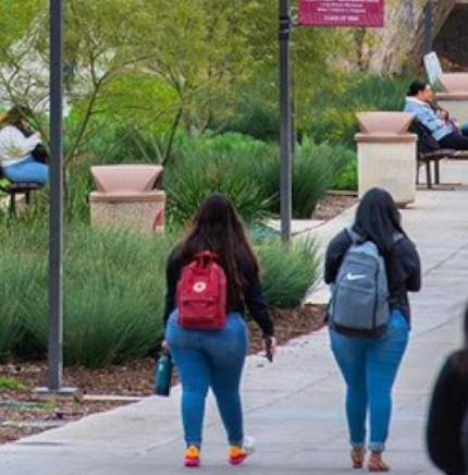 Университетский кампус. 