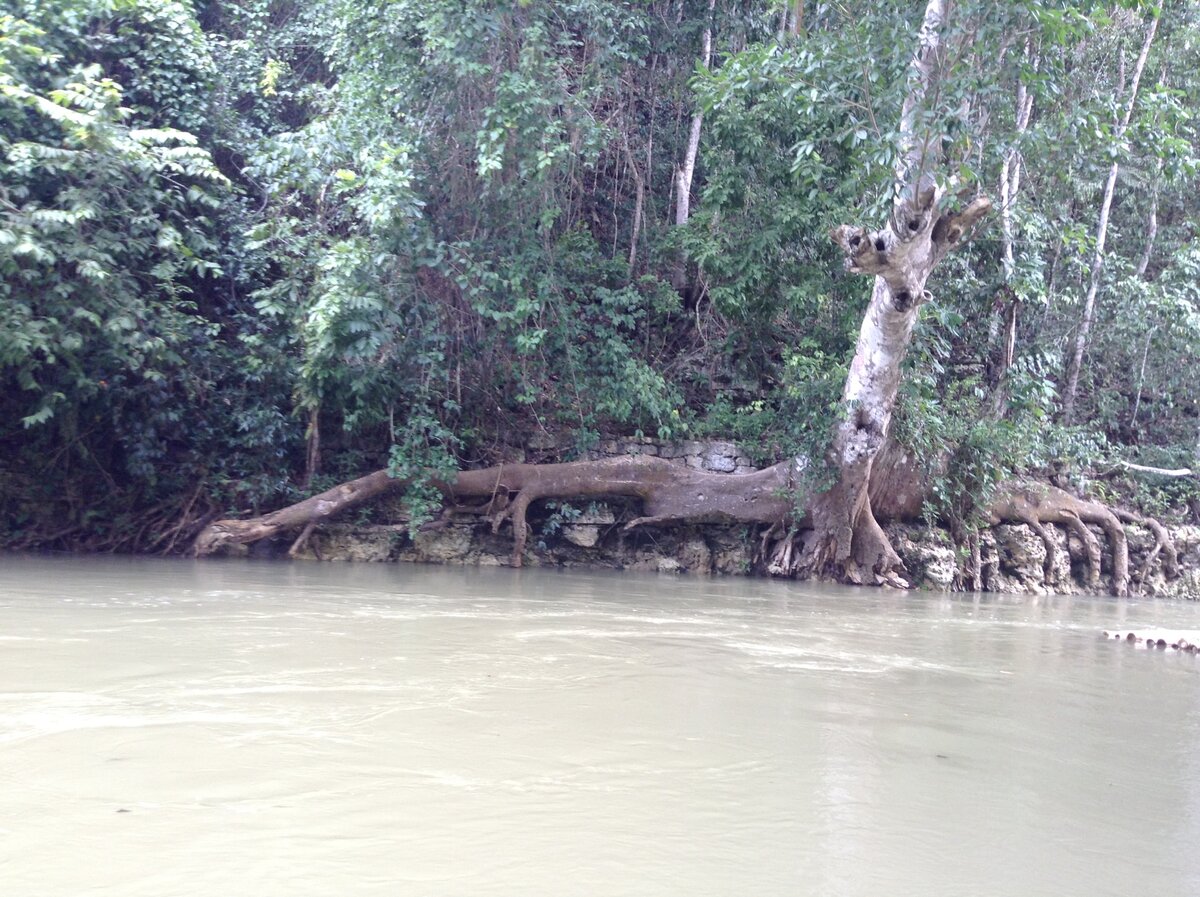 Из личного архива: красивая природа