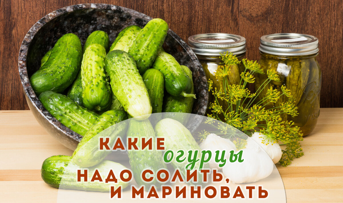 Огурец маринованный калорийность