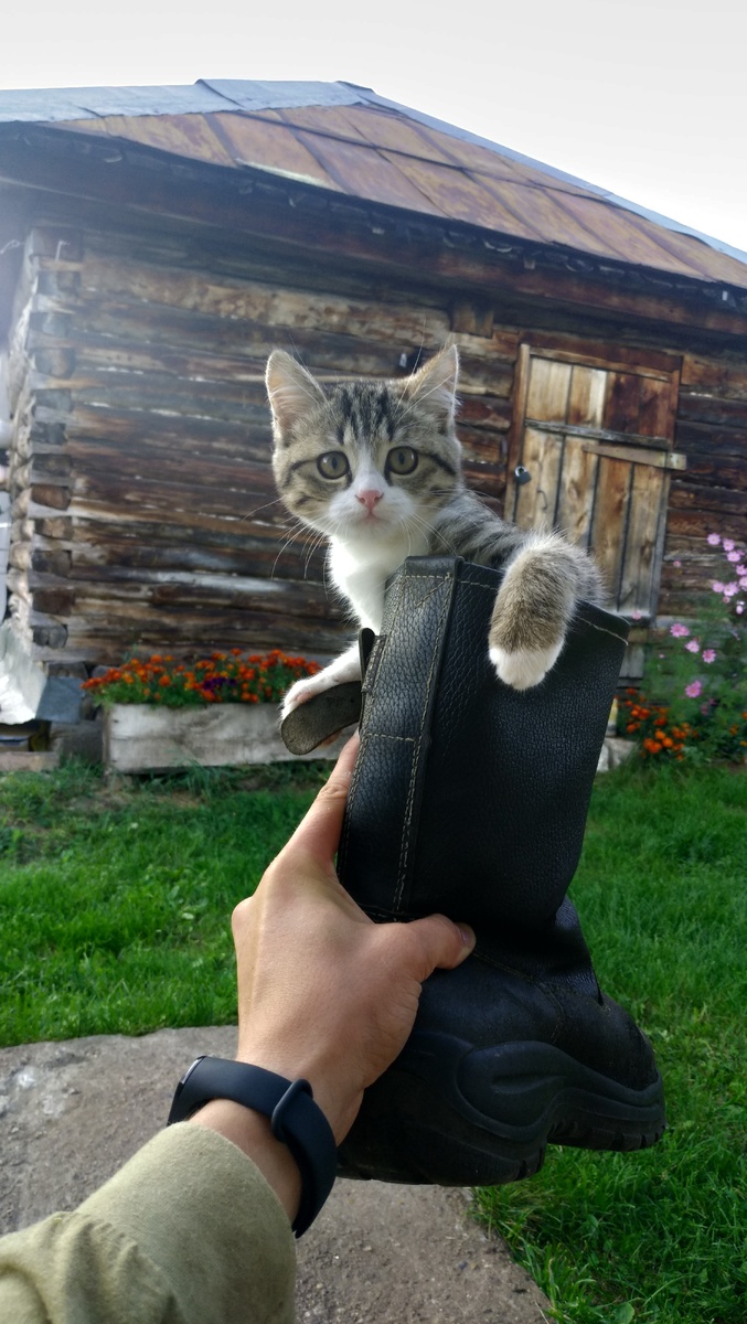 -2