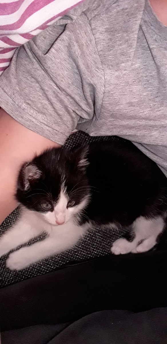 Фото после того, как мы его помыли и высушили, прокапали глазки 