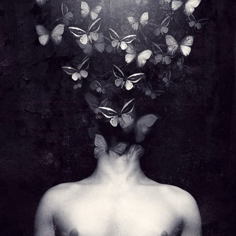 фото из интернета