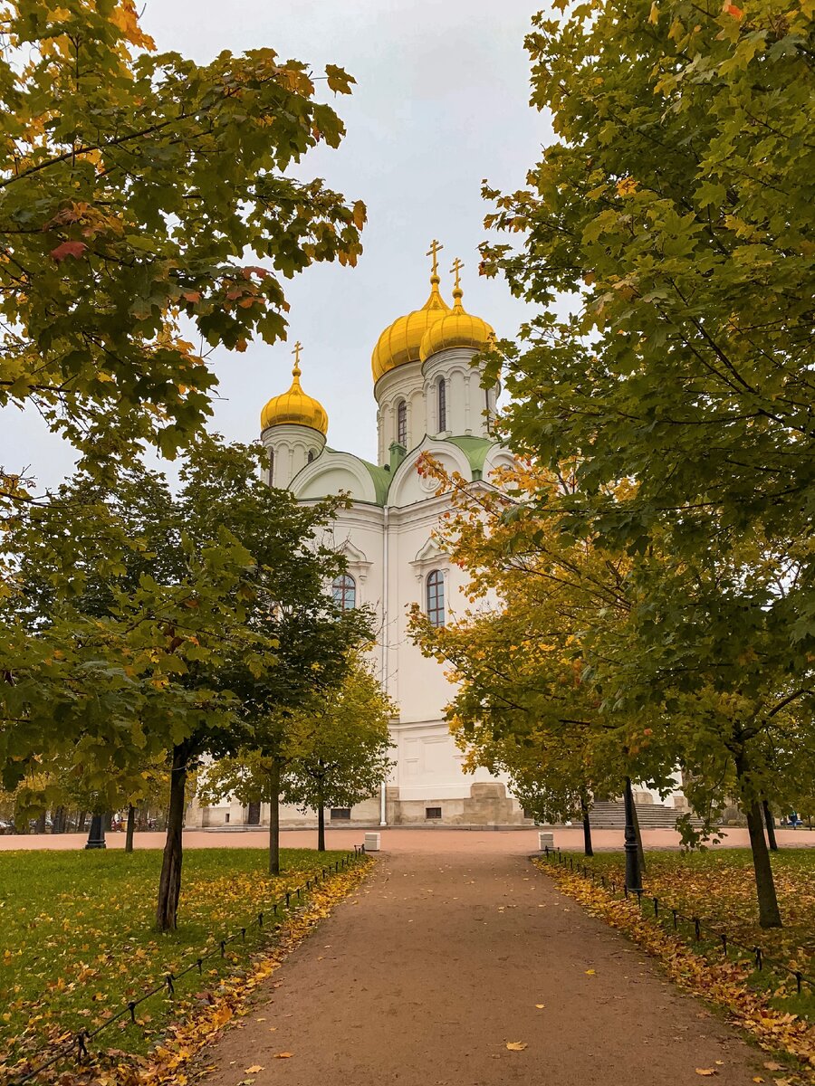 александровский парк бийск