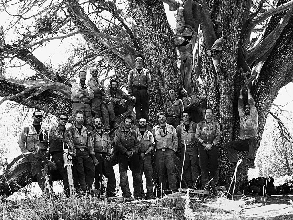 Отряд гранитная гора реальная история