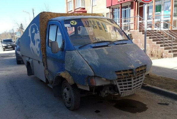 Газель