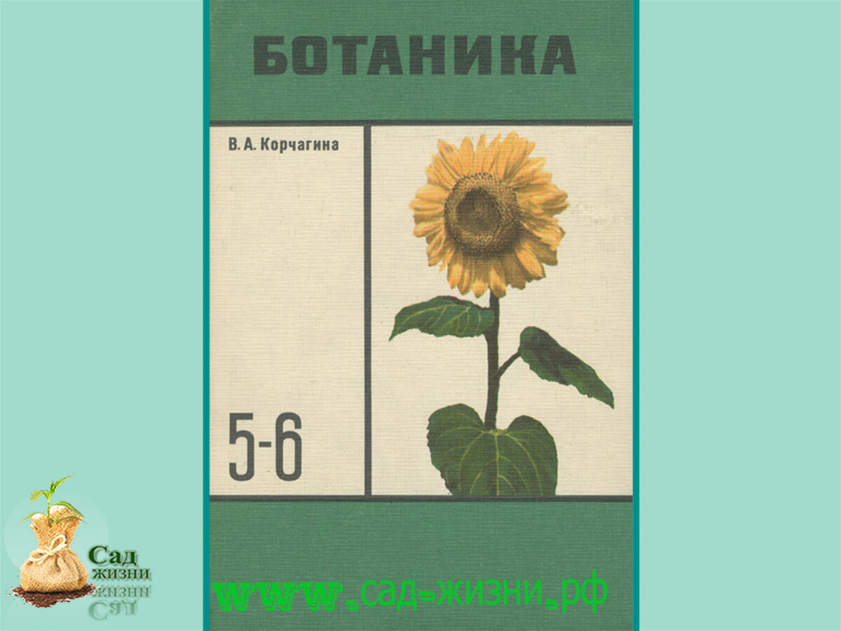Оки учебник. Ботаника 7 класс. Корчагина биология 5-6. Обложка тесты для ботаники 5 класс. Биология Корчагина 6-7