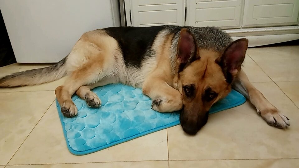 Сказали "место", буду лежать... что делать...