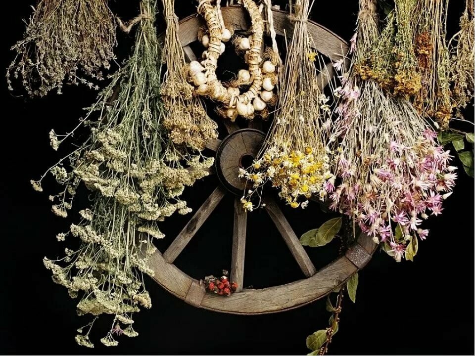 Яндекс Картинки