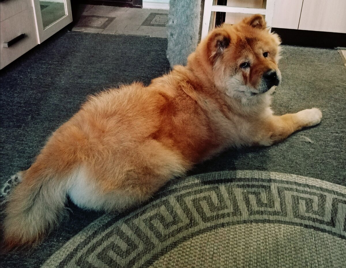 Женщина в полном расцвете сил.