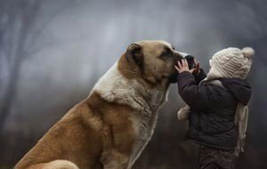 Фото использовано в качестве иллюстрации к истории