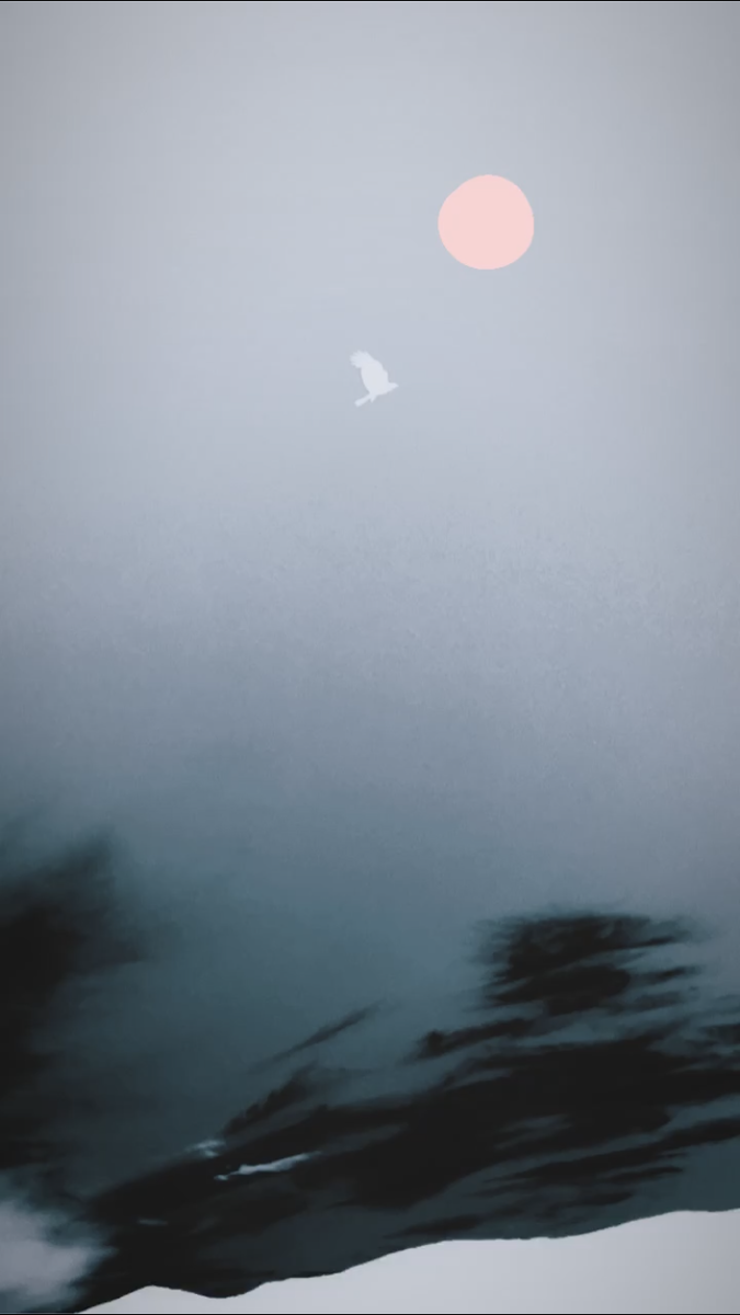 Как известно, сегодня полнолуние. И, как пишут многие источники, – розовое суперлуние | Все изображения ©️ FreeAuthor