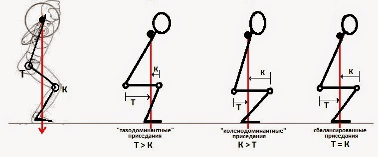 Увы мои колени и уважаемые мной врачи-травматологи считают сбалансированным именно тазодоминантный вариант