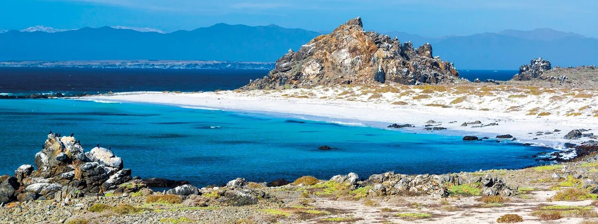 Острова Дамас у побережья Ла-Серены, Чили (Shutterstock)