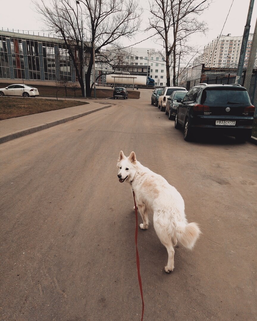 "Это я-то - сложная? На себя посмотри, двуногая кожаная чудачка!"
