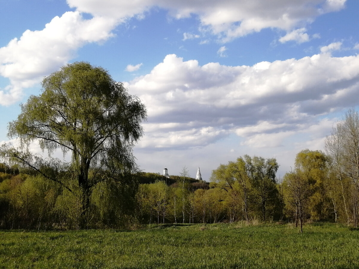 Вид на Москву-реку и окрестности с Дьякова городища. Фото автора