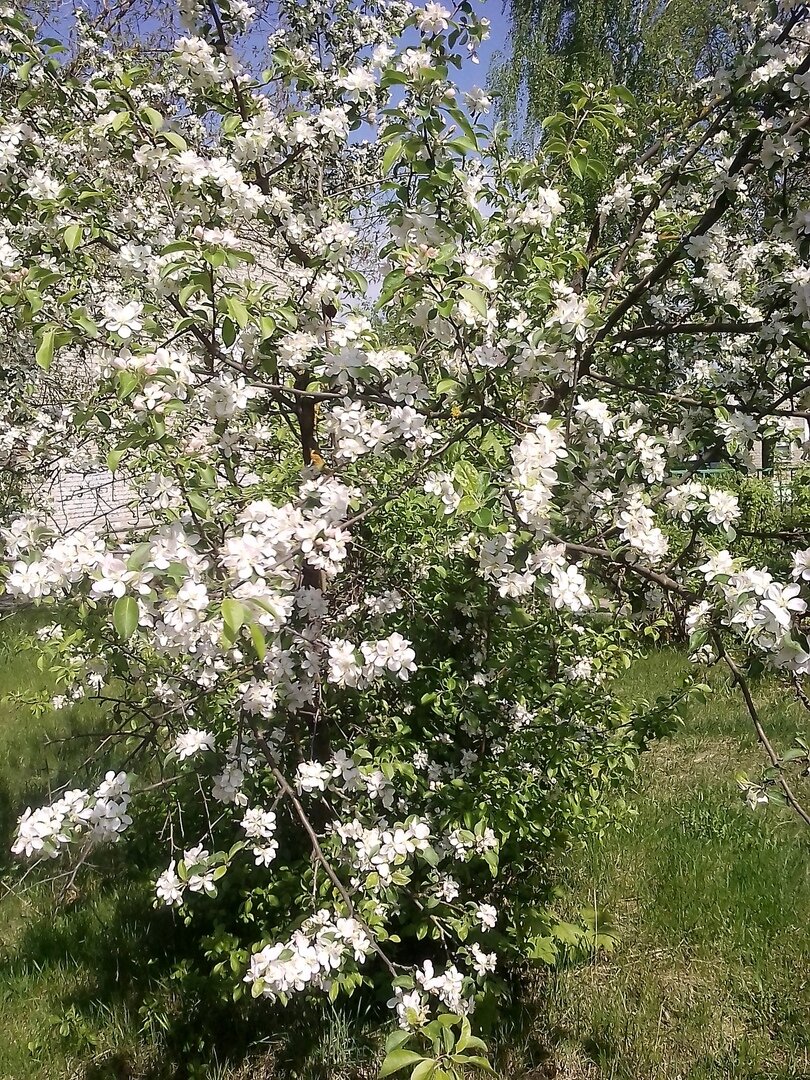 Личное фото