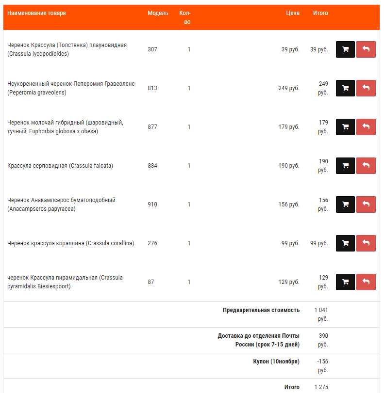 Скриншот заказа на сайте "Кактусенок"