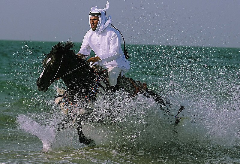 Автор фото: Раззам Аль (скопировано с https://commons.wikimedia.org/wiki/Main_Page)