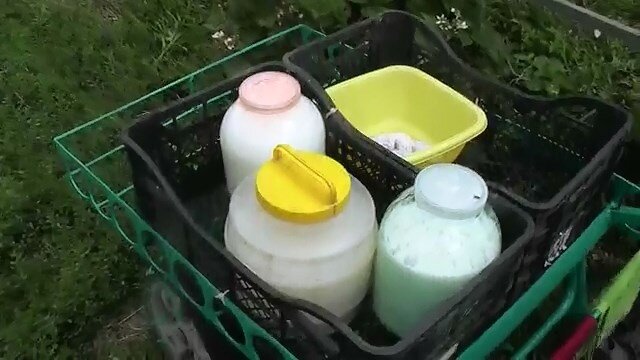 Возвращаюсь с дойки...