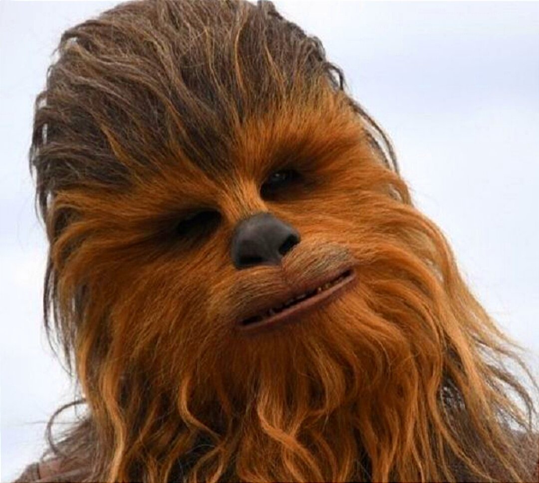 Чуви чубака. Лохматый из звездных. Чубакка из звёздных воинов. Чубакка. Лохматый из звездных.