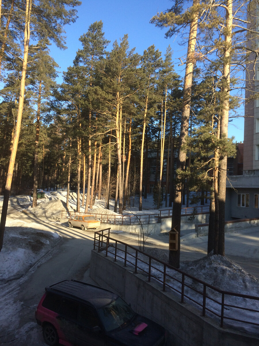 первый снег