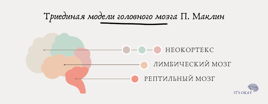 Триединая модель головного мозга П.Маклин