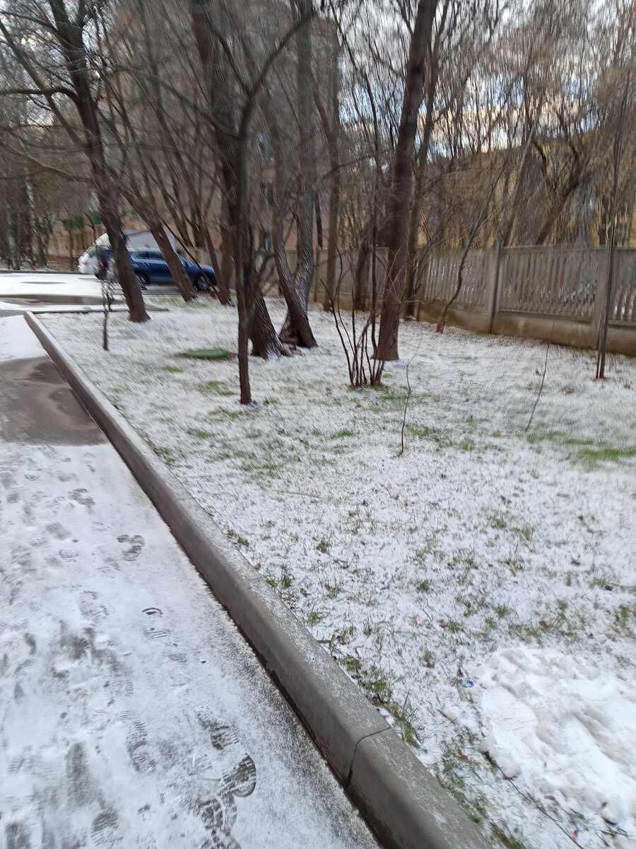 Фото автора. Утро.