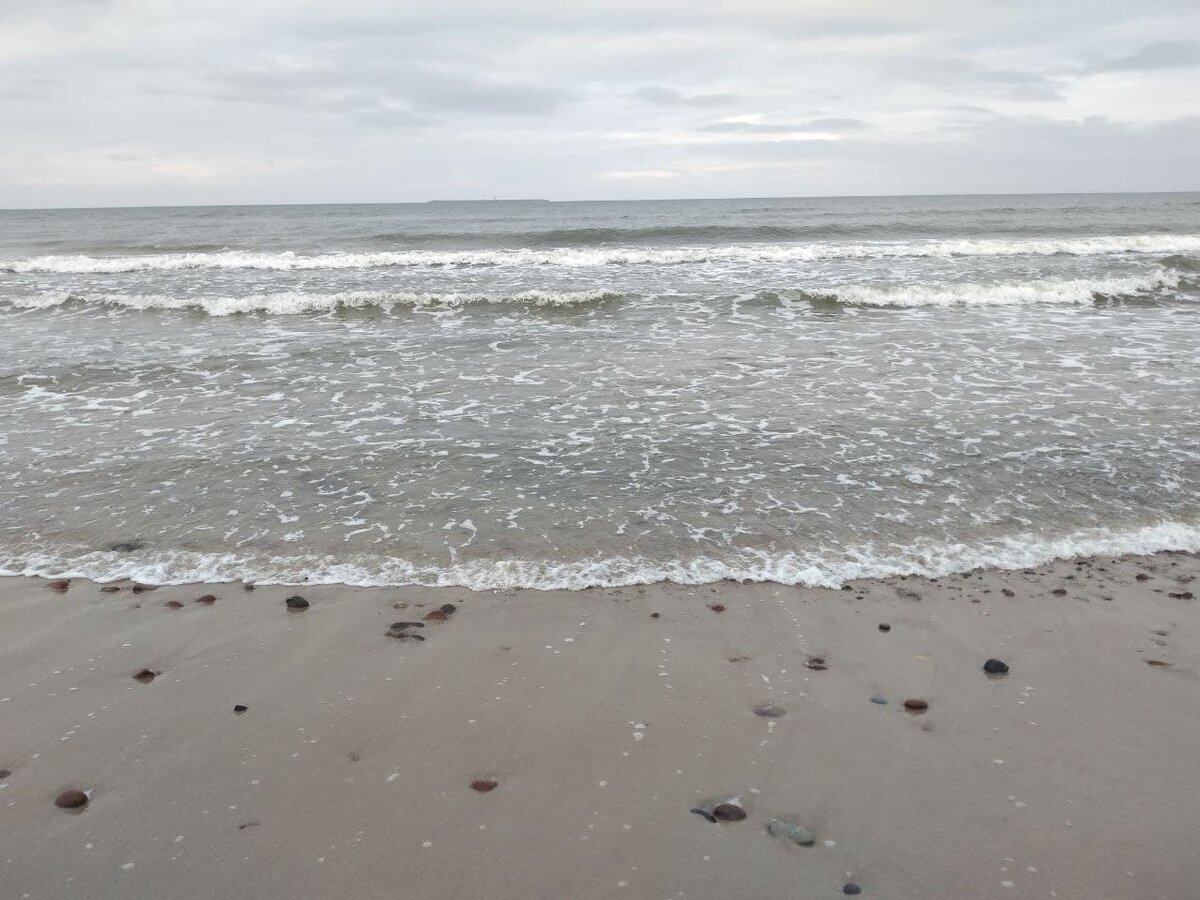 Берег Балтийского моря /  фото автора