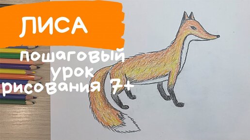 Как рисовать Животных