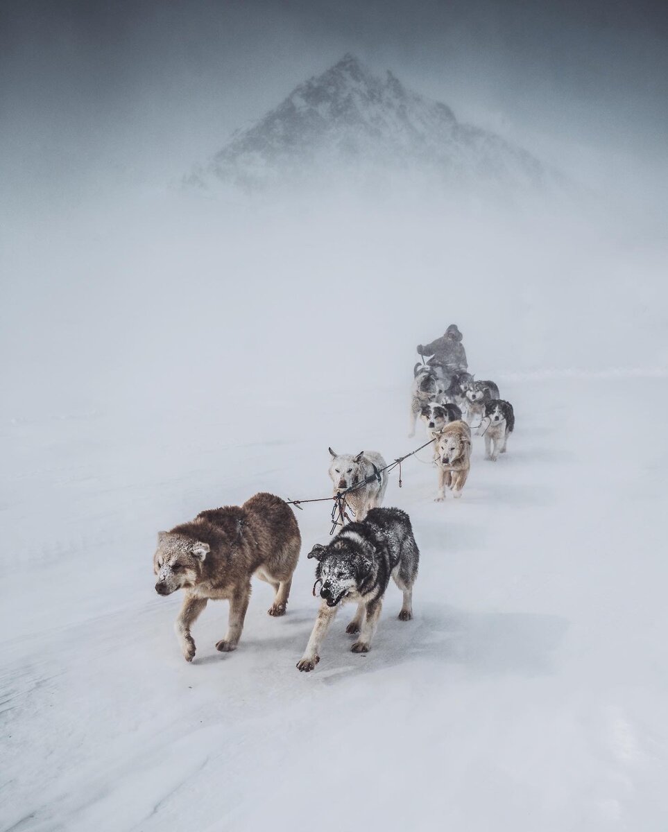 Каюры морзверобои Чукотки