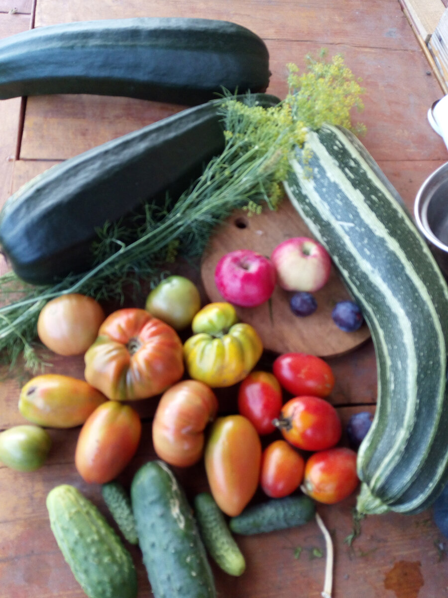 Это наш прошлогодний урожай. Даже и не думали нарочно картинку делать, а просто рядом у нас мойка и очень удобно: обмыл то, что собрал, и на крыльце сушишь  урожай. Здесь у нас в основном разные цукини.