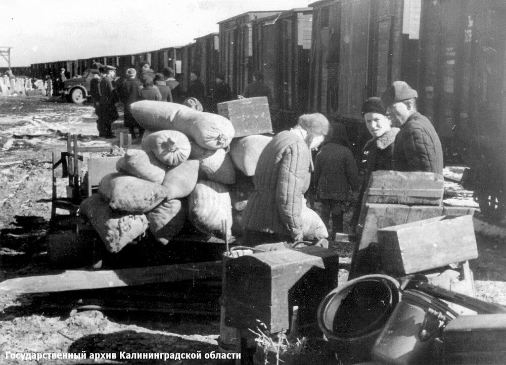 Прибытие переселенцев. 1946 г.