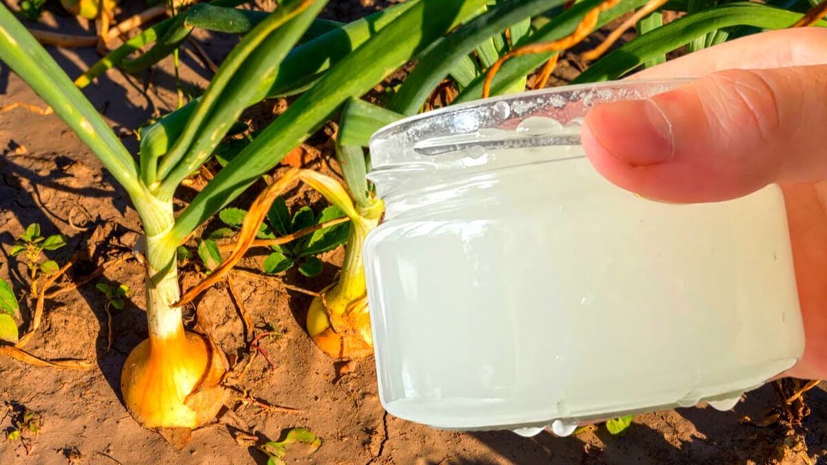 Источник https://www.youtube.com/watch?v=-tCchO0PZ9I