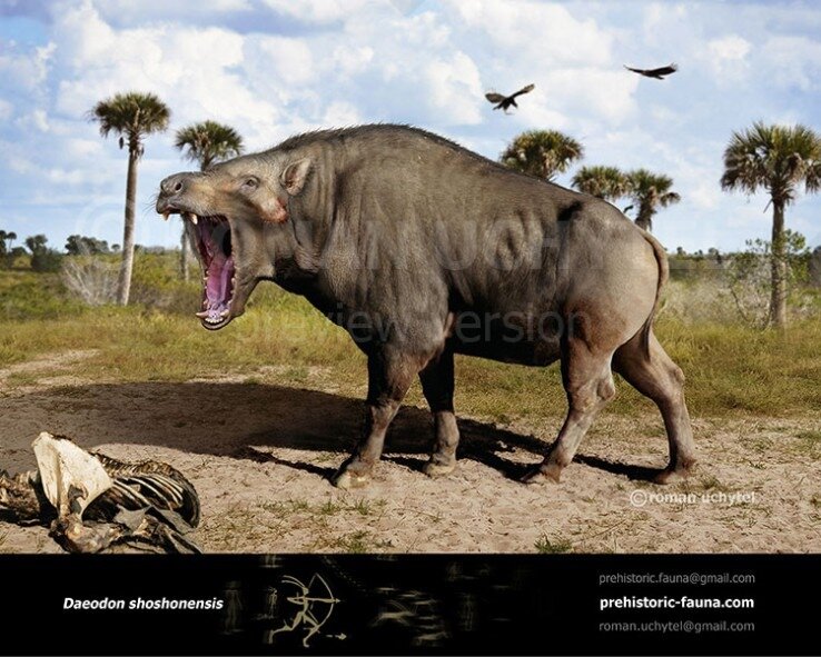 А кто всё мясо слопал!?