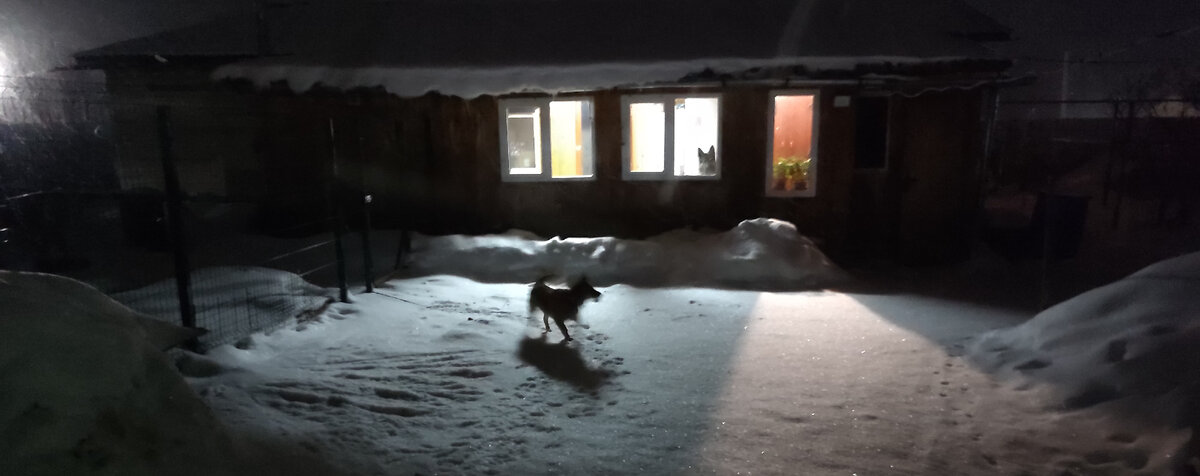 В окне можно увидеть силуэт моей второй собаки Босса :))