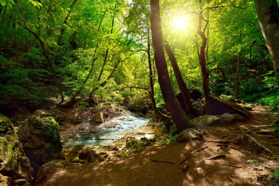   Где протекают реки-малютки? Фото: Depositphotos