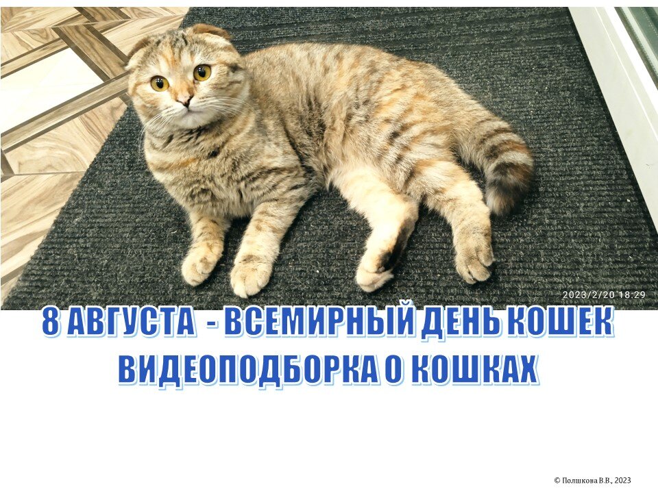 Картошка, © Полшкова В.В., 2023 