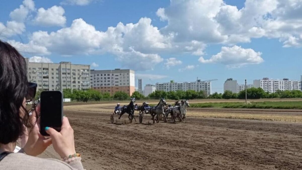    Бусаргин обсудил в Москве реконструкцию саратовского ипподромаНовости Саратова и области – Сетевое издание «Репортер64»
