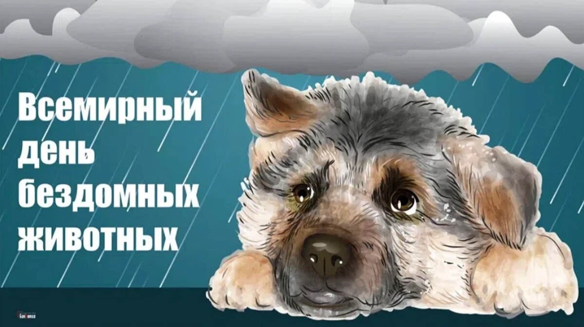 Всемирный день бездомных животных. Иллюстрация: «Весь Искитим»