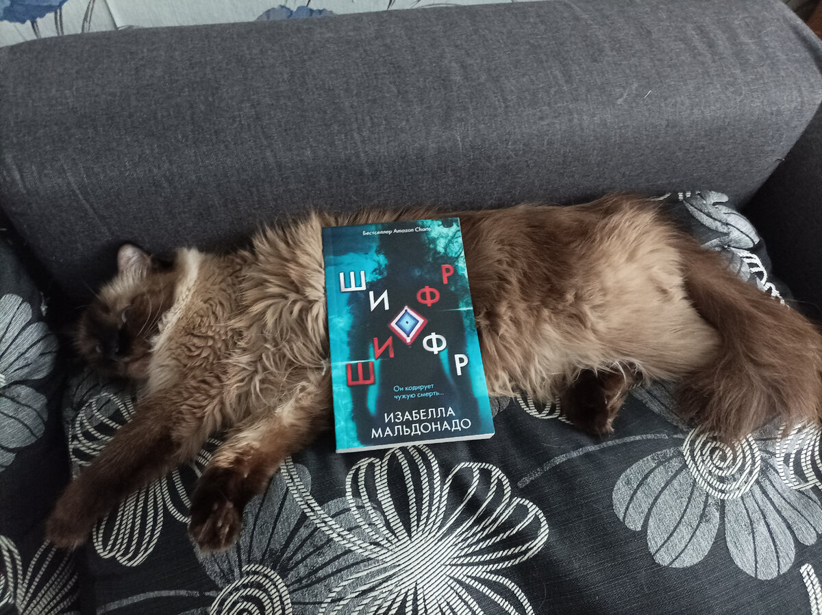 Сегодня читаемую книгу в мягкой обложке из сети магазинов Fix Price вызвалась представлять Джессика.