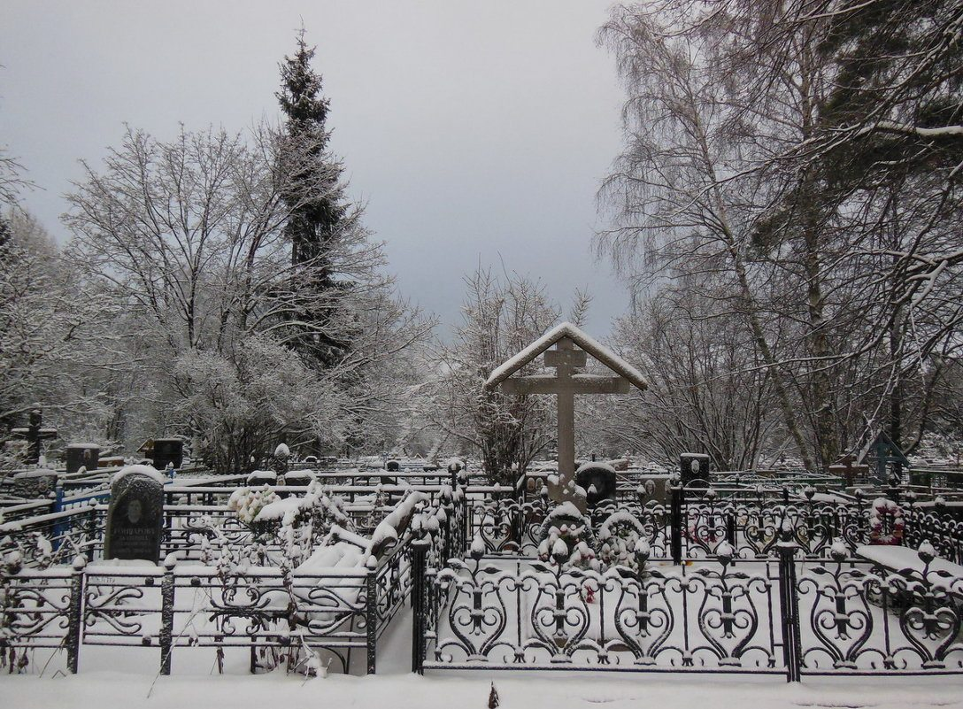 фото из интернета