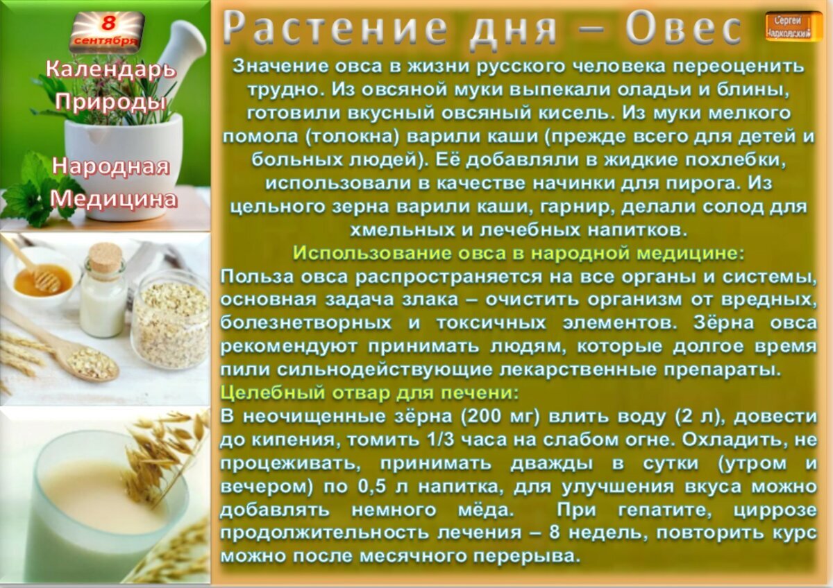 8 сентября - Приметы, обычаи и ритуалы, традиции и поверья дня. Все  праздники дня во всех календарях. | Сергей Чарковский Все праздники | Дзен