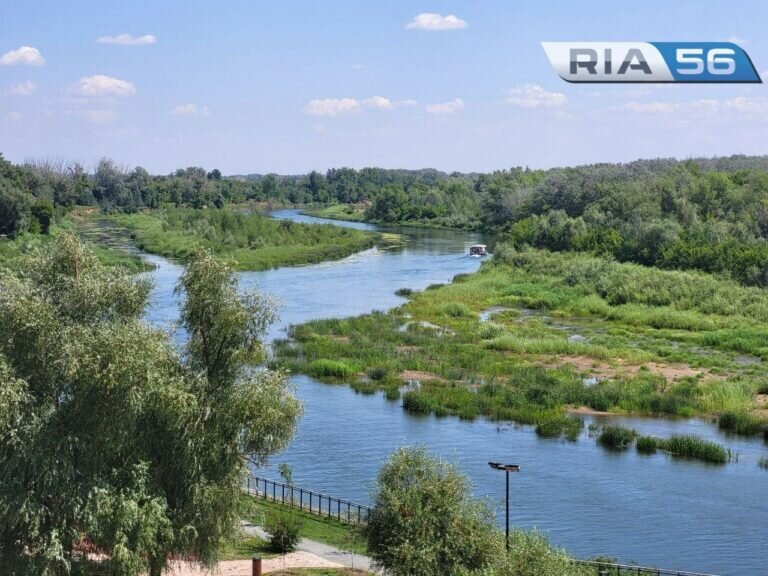    В Оренбургскую область ненадолго заглянет «бабье лето» Андрей Севостьянов