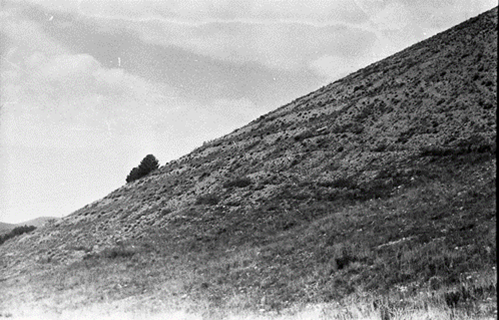 В марте, апреле и мае журнал "ГеоИнфо" публикует в виде небольших заметок, выходящих по 2 раза в неделю, воспоминания геолога Николая Афанасьевича Самуся о работе в Армении после Ленинаканского землетрясения.