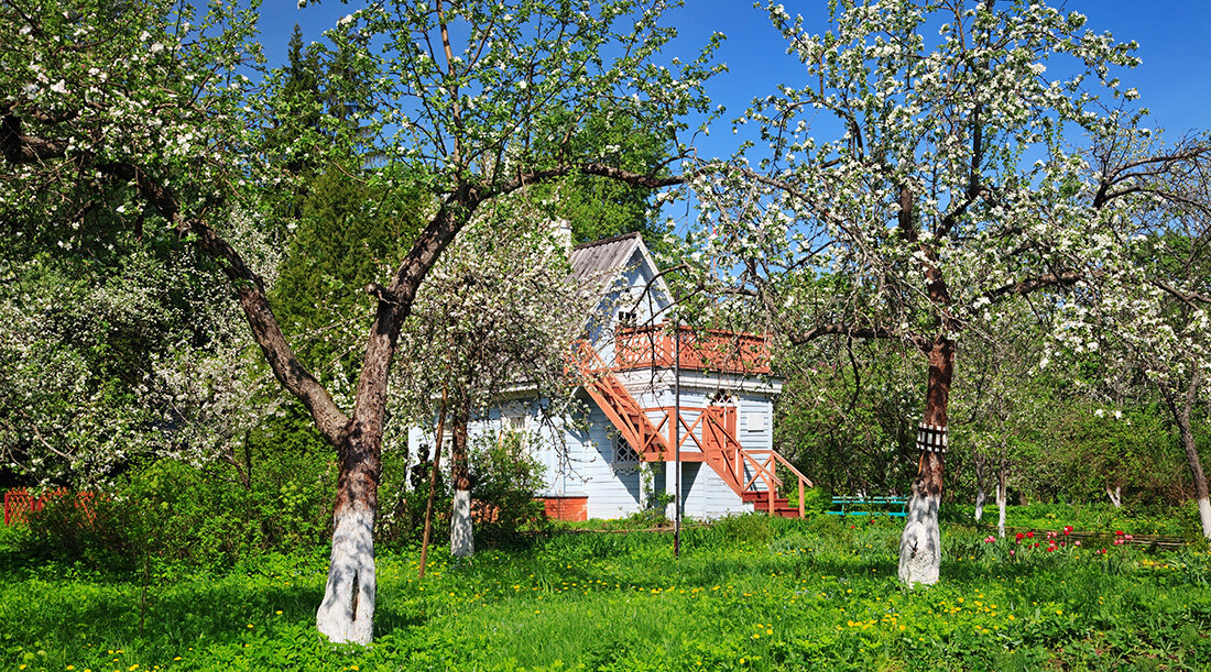 Фото: gettyimages.ru