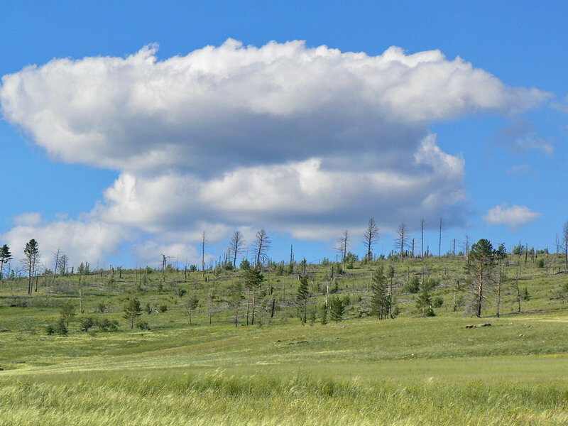 Другой сон во времени, вообще растянулся более чем на десять лет. Трудно жить с таким грузом, сознавая, кто следующий в очереди в мир иной.  Сон – мы приехали к Алешиным родителям на какой-то праздник. Баба Таня садится за стол и раздает всем команды: «Ты дед садись сюда(указывает по левую руку от себя), Илья садись напротив меня, а Александра садись напротив деда». Я спрашиваю, а мы с Алешей? Ответ – на стол накрывайте! Я вижу, к дому идет брат деда. Говорю ей об этом. Она машет рукой – когда еще он придет!
Последствия – дед ушел за бабушкой, через два года. Илья через десять лет. Александра, через два года после Ильи. И даже даты смерти почти рядом.
Как это объяснить?
