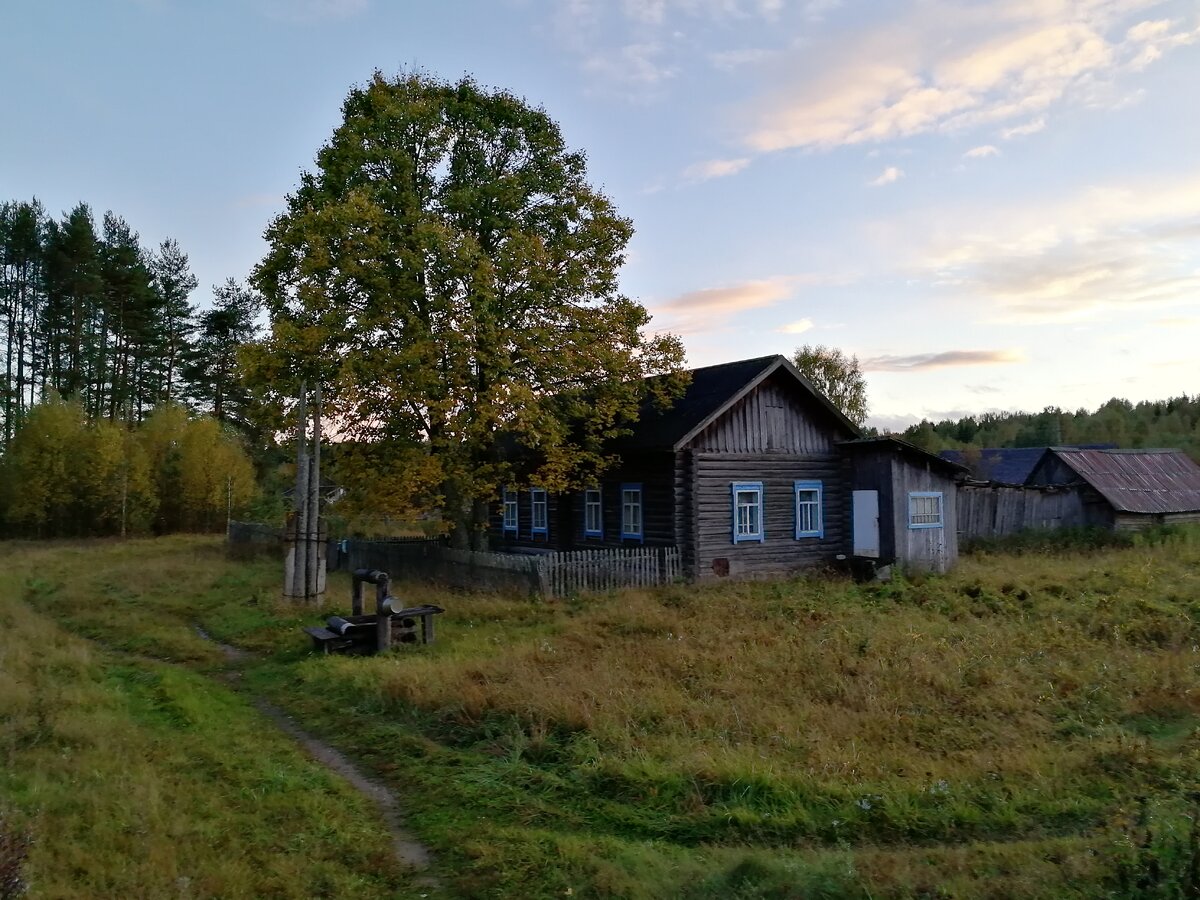 Деревня Нельша Костромская область