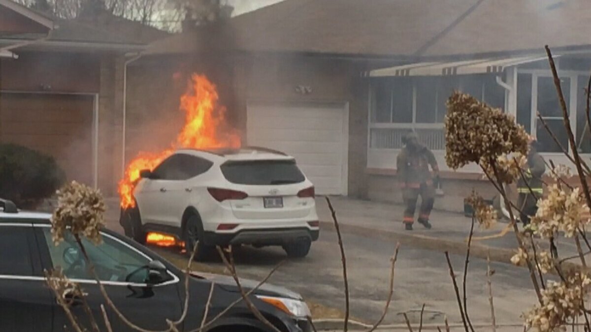 фото: https://thumbnails.cbc.ca/