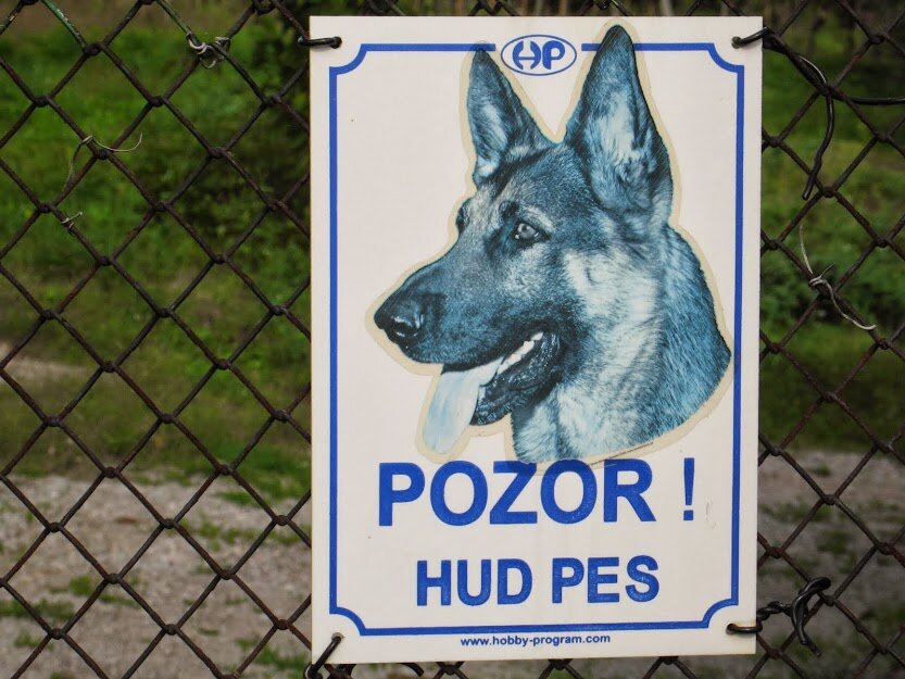 Фото авторское