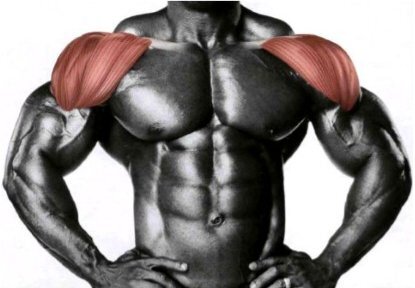 Разбираем мышцы спины вместе с tofuthebold | VK